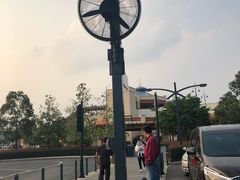 -迪士尼乐园停车场