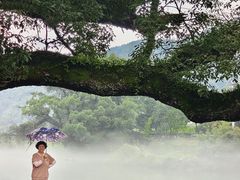 -上坦村