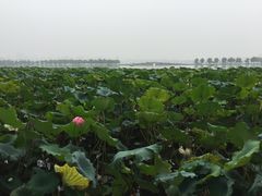 -浙江省博物馆(孤山馆区)