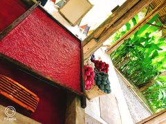 -大象粑粑造纸公园