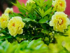 -大钟寺古钟博物馆