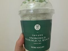 -茉酸奶(春熙路店)