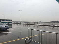 -吴淞口国际邮轮码头-停车场