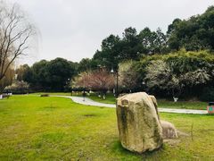 -金鸡湖桃花岛