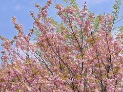 -贵阳市花溪国家城市湿地公园