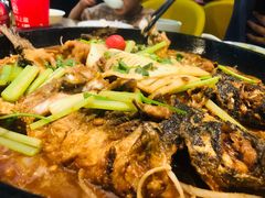 -老板恋上鱼(恒隆广场店)