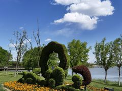 -武清南湖绿博园