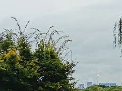 -东湖生态旅游风景区