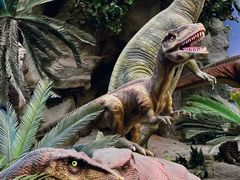 -国家自然博物馆