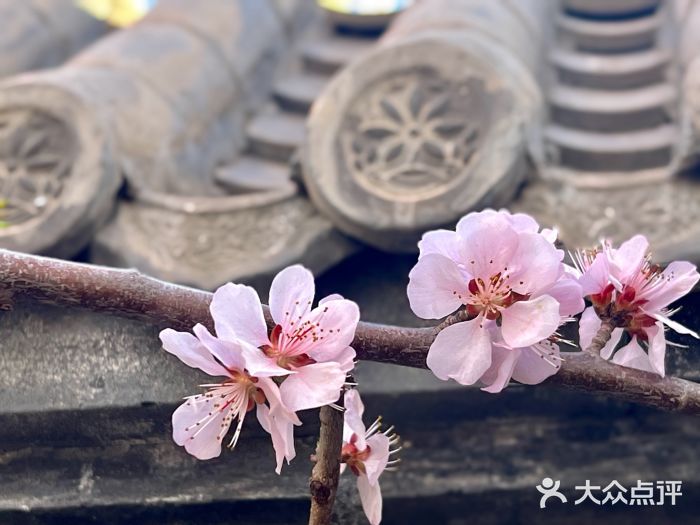 三里河公园图片