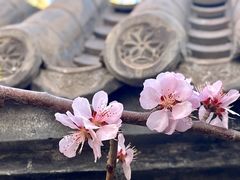 -三里河公园