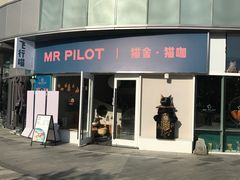 门面-飞行喵MR PILOT|猫舍·猫咖(静安大融城店)