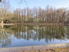 -上海共青森林公园