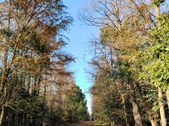 -上海海湾国家森林公园