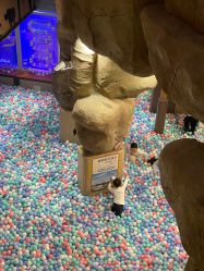 -卡通尼·Safari非洲探索乐园·生日会(金桥国际商业广场店)