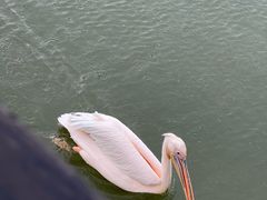 -上方山森林动物世界