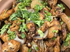 -广宁炭炉鸡煲·富临门饭店