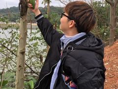 -芦仙山景区-飞越丛林探险乐园