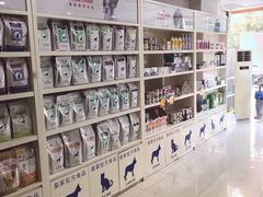-创凡宠物医院·骨专科  猫科中心(西乡分院)