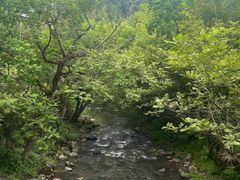 -石台牯牛降景区