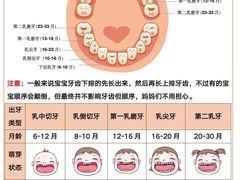 -维乐口腔(美维云门诊陆家嘴店)