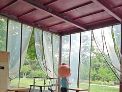 -鸡鸣汤包(红山动物园店)