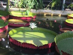 -国家植物园南园