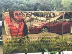 -浦东市民中心-停车场