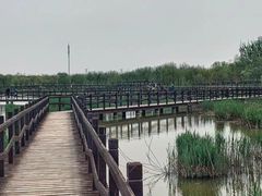 -西青郊野公园