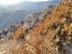 -北京鹫峰国家森林公园