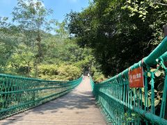 -南宁良凤江国家森林公园