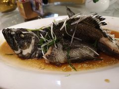 清蒸老虎斑-稻香酒家·35年老字号(侨光店)