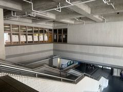 -香港大学