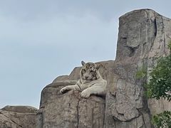 -龙口动植物园