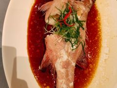 -粤江春·早茶·潮粤菜·宴会(罗湖宝能中心店)