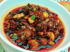 -树厨贵州菜(花果园购物中心店)