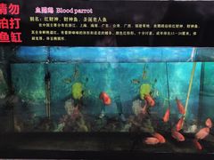 -晶宝温泉农庄