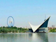 android_upload_pic-东湖公园