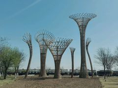 -武清南湖绿博园