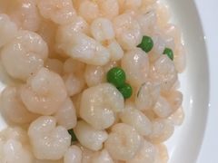 -乔家栅(襄阳南路店)