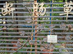 -广州神农草堂中医药博物馆