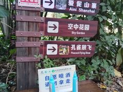 -西双版纳原始森林公园