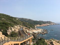 -广东惠东海龟国家级自然保护区