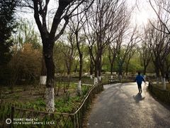 -丰台科技园生态主题公园