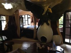 -疯狂屋