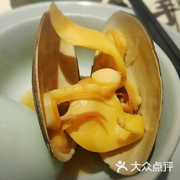 珊瑚蚌