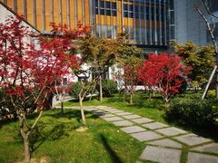 -香樟花园法式铁板烧(恒隆广场店)