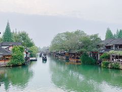 -乌镇西栅景区