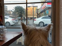 -绝城芋儿鸡(犀浦旗舰店)