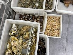 -阿杰臻选海鲜饭店(普陀山店)